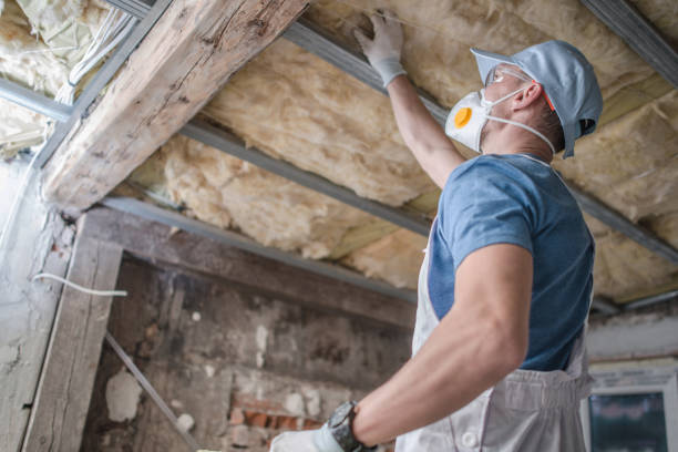 Trusted Maryland Heights, MO Insulation Contractor Experts