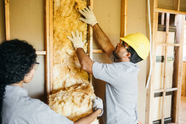 Best Fiberglass Insulation  in Maryland Heights, MO