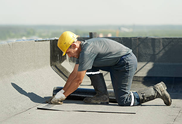 Best Local Insulation Services  in Maryland Heights, MO