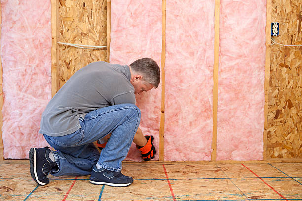 Best Home Insulation Services  in Maryland Heights, MO