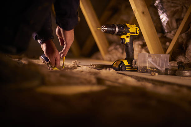 Best Insulation Removal  in Maryland Heights, MO