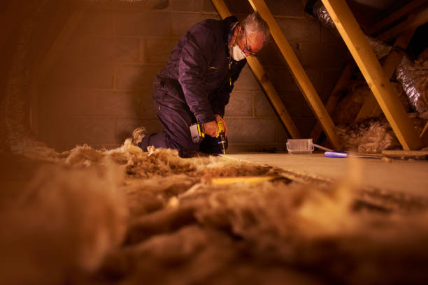 Best Insulation Replacement Services  in Maryland Heights, MO